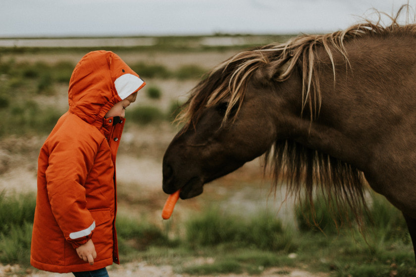 Kinderen en paarden, moedersdroom gedeelde interesse? - PAARDEN COLUMNS